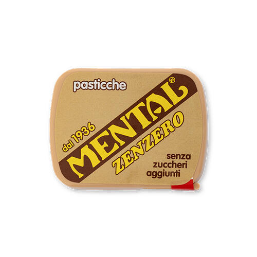 FASSI SCATOLA MENTAL ZENZERO GR.17 PZ 24